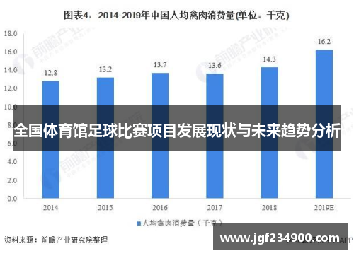 全国体育馆足球比赛项目发展现状与未来趋势分析