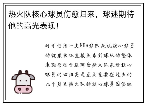 热火队核心球员伤愈归来，球迷期待他的高光表现！